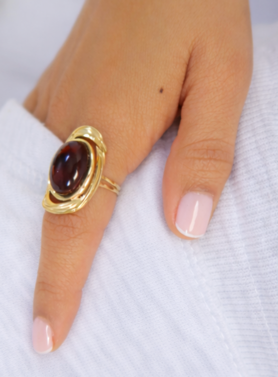 ANILLO MARRON